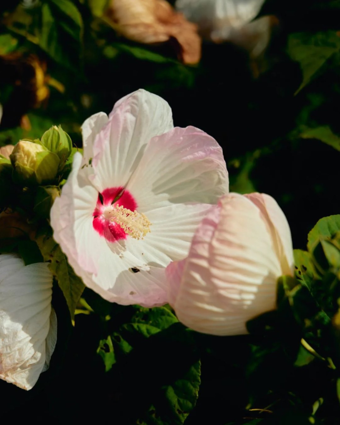 Those who grow the city